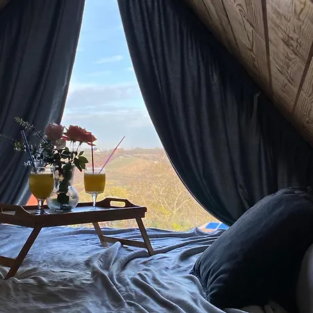 Luxury House Nena Fruska Gora - Kuca Za Odmor Holiday home