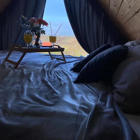 Luxury House Nena Fruska Gora - Kuca Za Odmor Holiday home